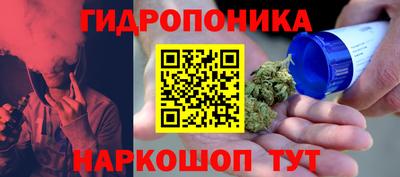 сатива Балахна